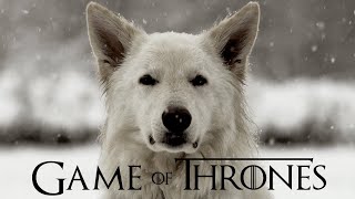 Game of Thrones | Smooth Jazz Version | by Dr. SaxLove