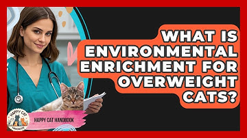 What Is Environmental Enrichment For Overweight Cats? - Happy Cat Handbook