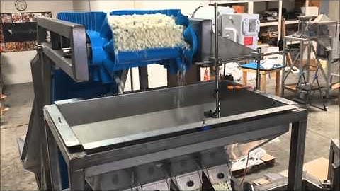 Actionpac MINI109CLWX4 4 Lane Linear Scale Running Blue Cheese