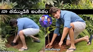 Superstar Mahesh Babu Plants Spelling And Challange To JR NTR | Green India Challenge | FIlmylooks