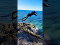#ai #aivideo #aishorts #waterjump #jump #enjoy #lifeisbutadream #youtubeshorts #shortvideo #ytshorts