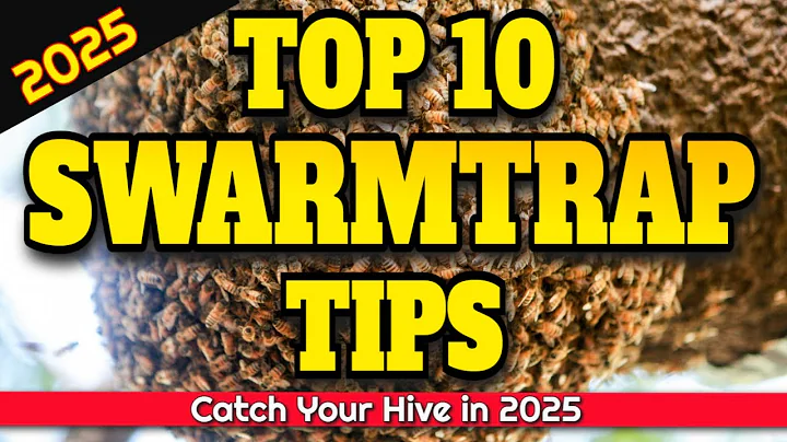 Top 10 Tips for Catching Honeybees Swarms #swarmtrap