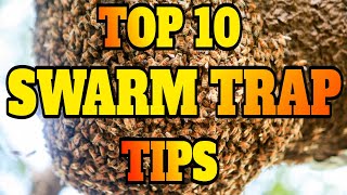 Top 10 Tips for Catching Honeybees Swarms #swarmtrap