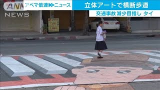 ユニーク横断歩道「すごく目立つ」　交通事故削減へ(19/11/29)