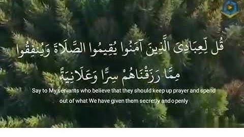 الشيخ /محمد صديق المنشاوي - سوره ابراهيم (قُل لِّعِبَادِيَ الَّذِينَ آمَنُوا يُقِيمُوا الصَّلَاةَ )