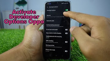 How To Enable Developer Options On Oppo A17, A17K, A55, A77S, & Other Oppo Android 12
