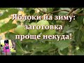 Если яблоки некуда девать: заготовки на зиму - сухофрукты из яблок делаю только так
