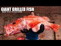 I Cooked a GIANT FISH on the BBQ