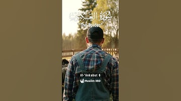 Surah Al-Ankabut 6  | Urdu-Hindi Audio Translation | سورة العنكبوت | #surah #islamdaily #quran