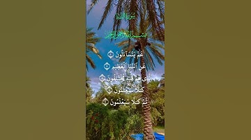 سورة النبأ القارئ : الحاج عامر الكاظمي