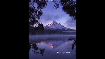 بعض ايات القران الكريم-1