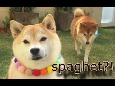 Part I - dr. mlems spaghet