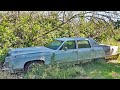 Rescued 77 Lincoln Continental Town Car - Rats and Mold Oh My