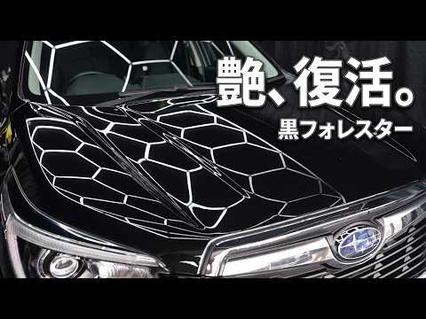 Polishing a Black Forester with Stone Chips｜DIY Polishing and Ceramic Coating