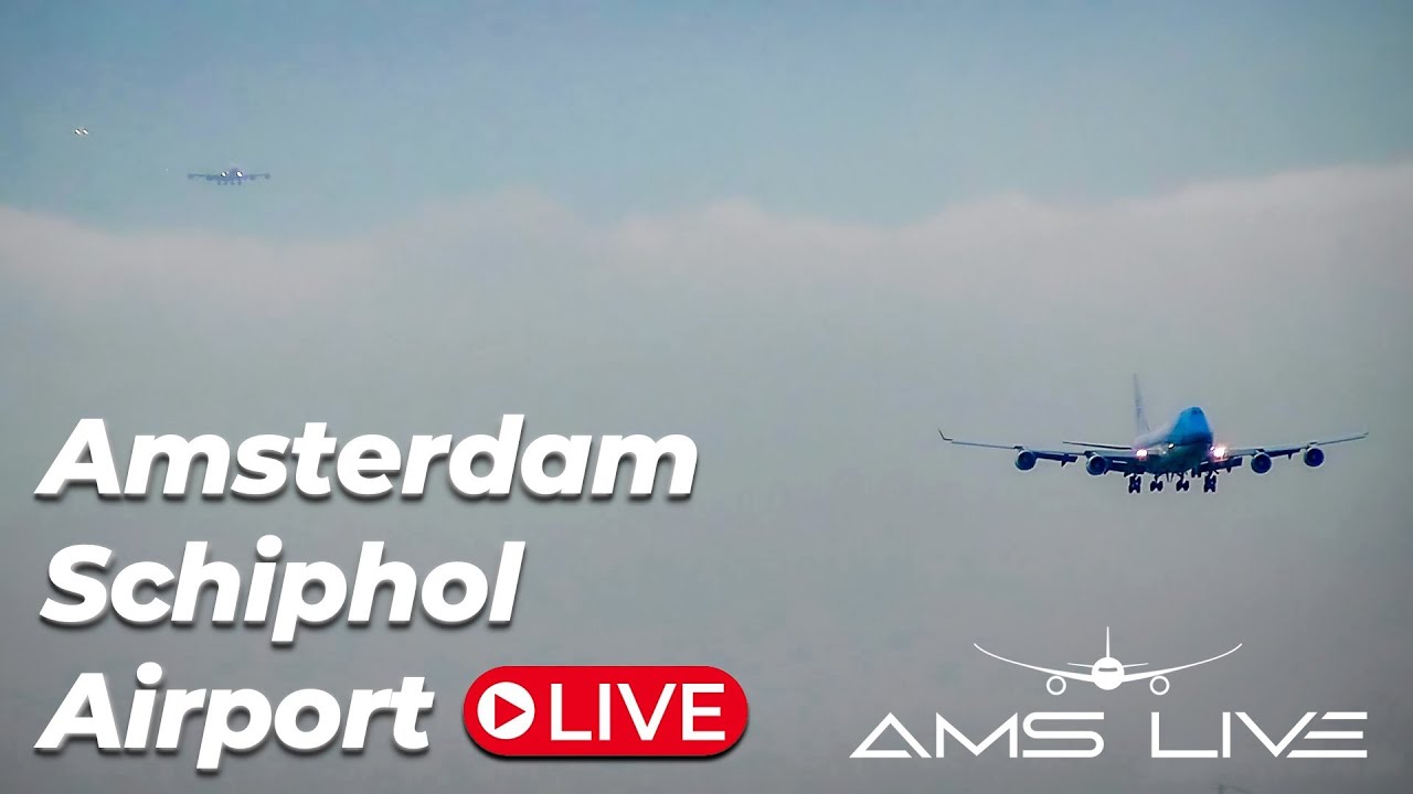 ? Live arrivals at Amsterdam Schiphol Airport - YouTube