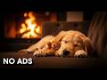Relaxing Dog Music 12 Hours 🐕 Anti Anxiety &amp; Separation Relief 🎵 Peaceful Pet Sounds (No Ads)