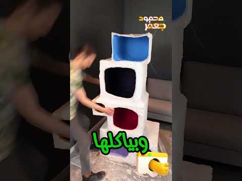 كلب تايه في الغابه فلقي فجاه اسد قدامه