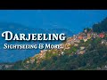 Darjeeling  darjeeling tourist places  darjeeling guide  may 2024  best place in west bengal