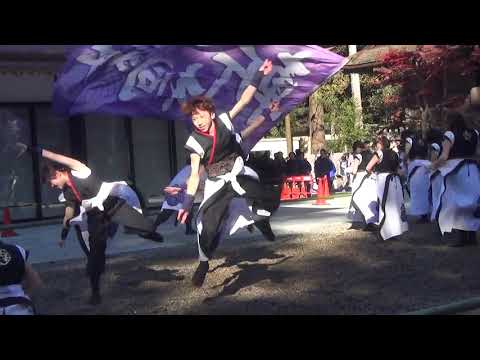 奉納よさこい'19 拝殿前ステージ 筑波大学 斬桐舞 -  宴天華