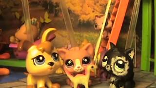 LPS сериал : Необычный дар ( 1 серия ) / Unusual Talent (episode 1) 猫 LPS сериал : Необычный дар ( 1 серия ) / Unusual Talent (episode 1) 猫