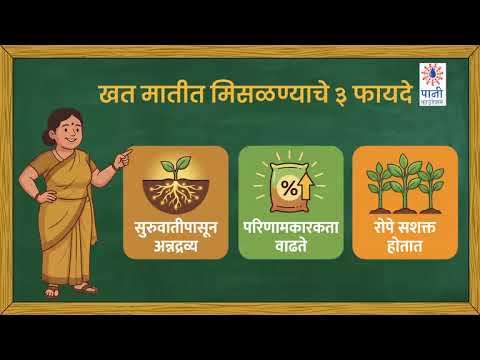 भात रोपवाटीकेसाठी खते विकत घेणे