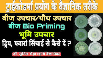 खेती में ट्राईकोडर्मा देने के वैज्ञानिक और आधुनिक तरीके Trichoderma Seed, Soil and Bio Priming treat