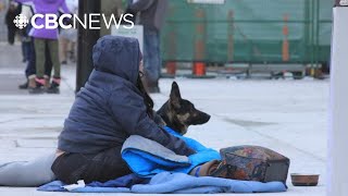 Does B.C.s shelter approval program need a rethink?