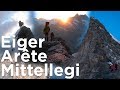 #2 Eiger Arête Mittellegi et Arête Sud Alpes Bernoises montagne alpinisme