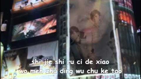 Ding Dang  wo shi yi zhi xiao xiao niao