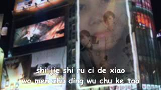 Video thumbnail of "Ding Dang  wo shi yi zhi xiao xiao niao"