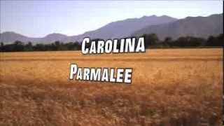 Video thumbnail of "Carolina - Parmalee(Lyrics)"