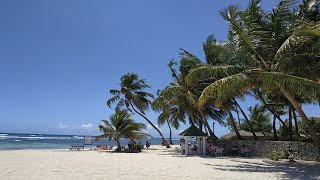 видео: ДОМИНИКАНА 2024 ОТДЫХ В ОТЕЛЕ КОРАЛ КОСТА КАРИБЕ ОБЗОР. 2 ЧАСТЬ. DOMINICANO 2024 CORAL COSTA CARIBE. картинка: ДОМИНИКАНА 2024 ОТДЫХ В ОТЕЛЕ КОРАЛ КОСТА КАРИБЕ ОБЗОР. 2 ЧАСТЬ. DOMINICANO 2024 CORAL COSTA CARIBE.