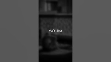 رعد محمد الكردي 🌝🤍 اجمل حالات واتس اب دينية سورة النبأ فيديو قصيره