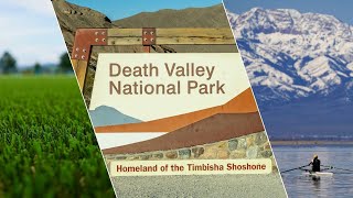 Expanded eviction diversion program, SNWA turf removal, and tourism declines | Daily Rundown