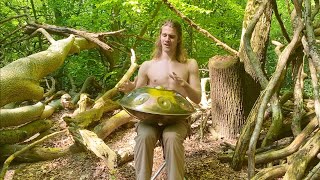 Enchanted Forest | 30 Minute Handpan Journey - Tobias Faber