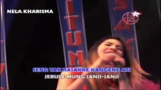 NELLA KHARISMA-LILAKNO AKU DEK NDX AKA-TERBARU 2017