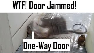 Plastic Bottle Mouse Trap, Diy. One-Way Door. Video Make To 212, Catch & Release 패트병 쥐덫