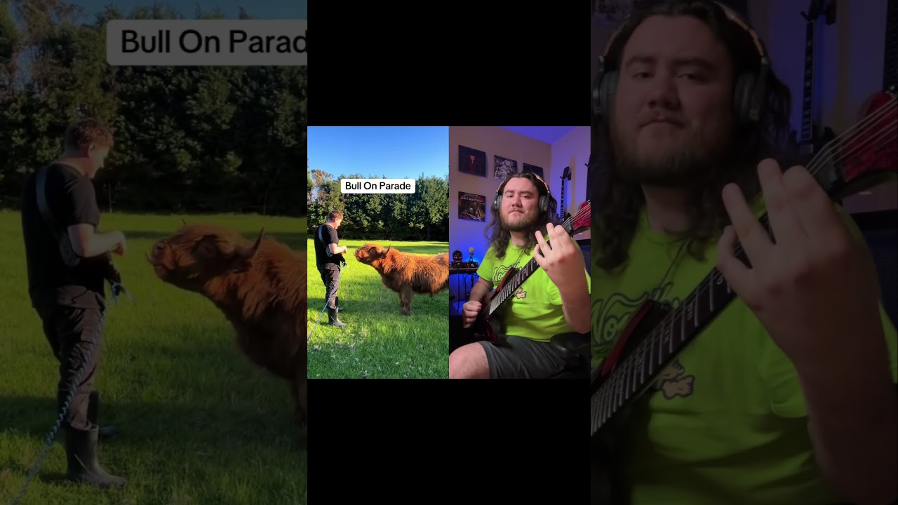 Bulls on parade w/ @reed_lynch 