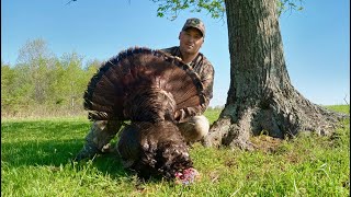 Giant 25 pound TN Gobbler and Hilarious Coyote encounter!