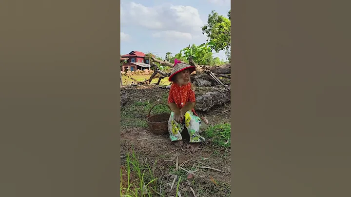 Best SokYaa Never Let's Mom Working Hard Like This #shorts