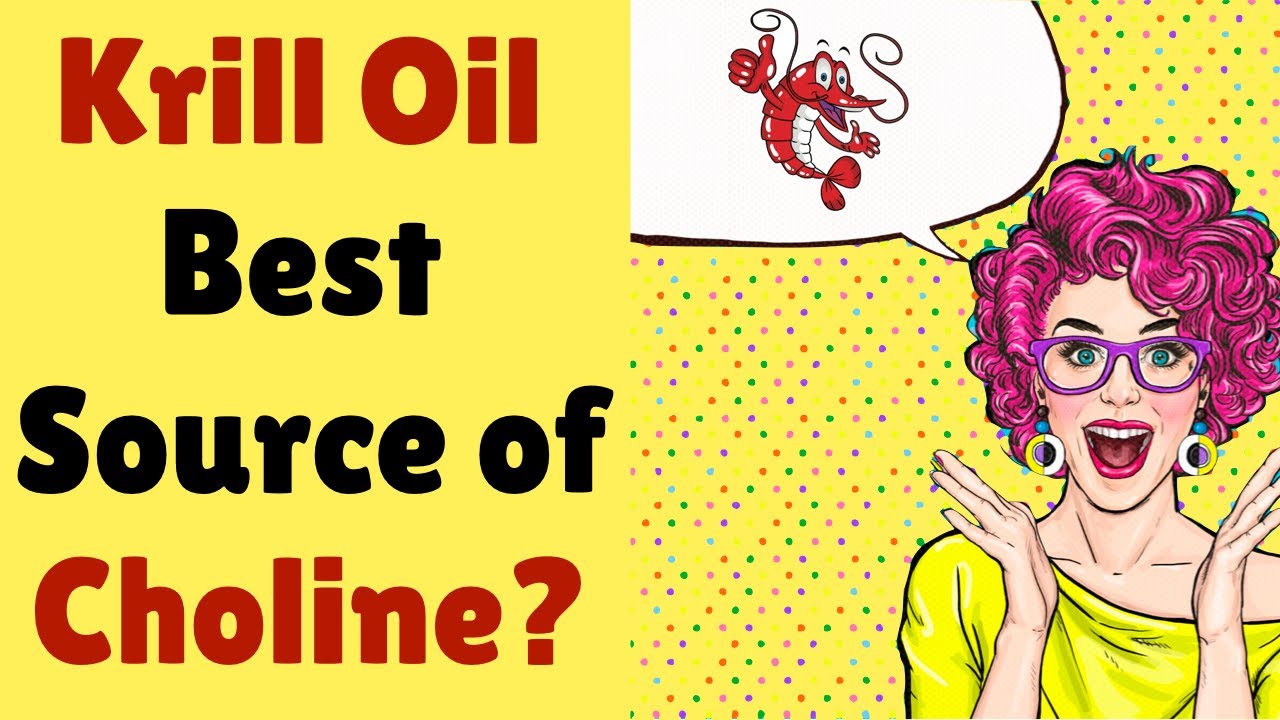 Why Krill Oil is Best Source of Choline YouTube