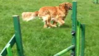 23rd May 2009