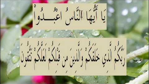 القران الكريم سورة البقرة الاية 21