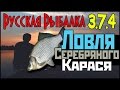 Русская Рыбалка 3.7.4 - Ловля Серебряного Карася: На базе деревенских просторах