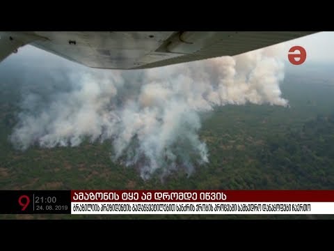 ამაზონის ტყეში მასშტაბური ხანძარი კონტროლს აღარ ექვემდებარება