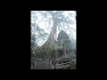 蜜雨~アムリタ~☆Chinatsu