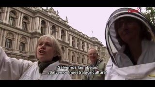 Películas | Vanishing of the Bees