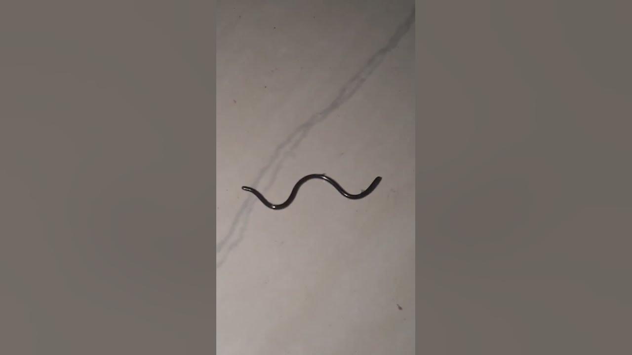 black-baby-snake-viral-trending-neon-blade-shorts-youtube