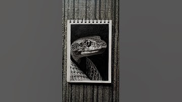 Snake Realistic Drawing Transition 🔥 #shorts