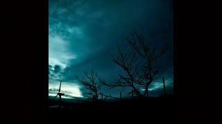 Audelaire - TTTT (At Night)